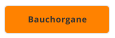 Bauchorgane