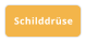 Schilddrüse